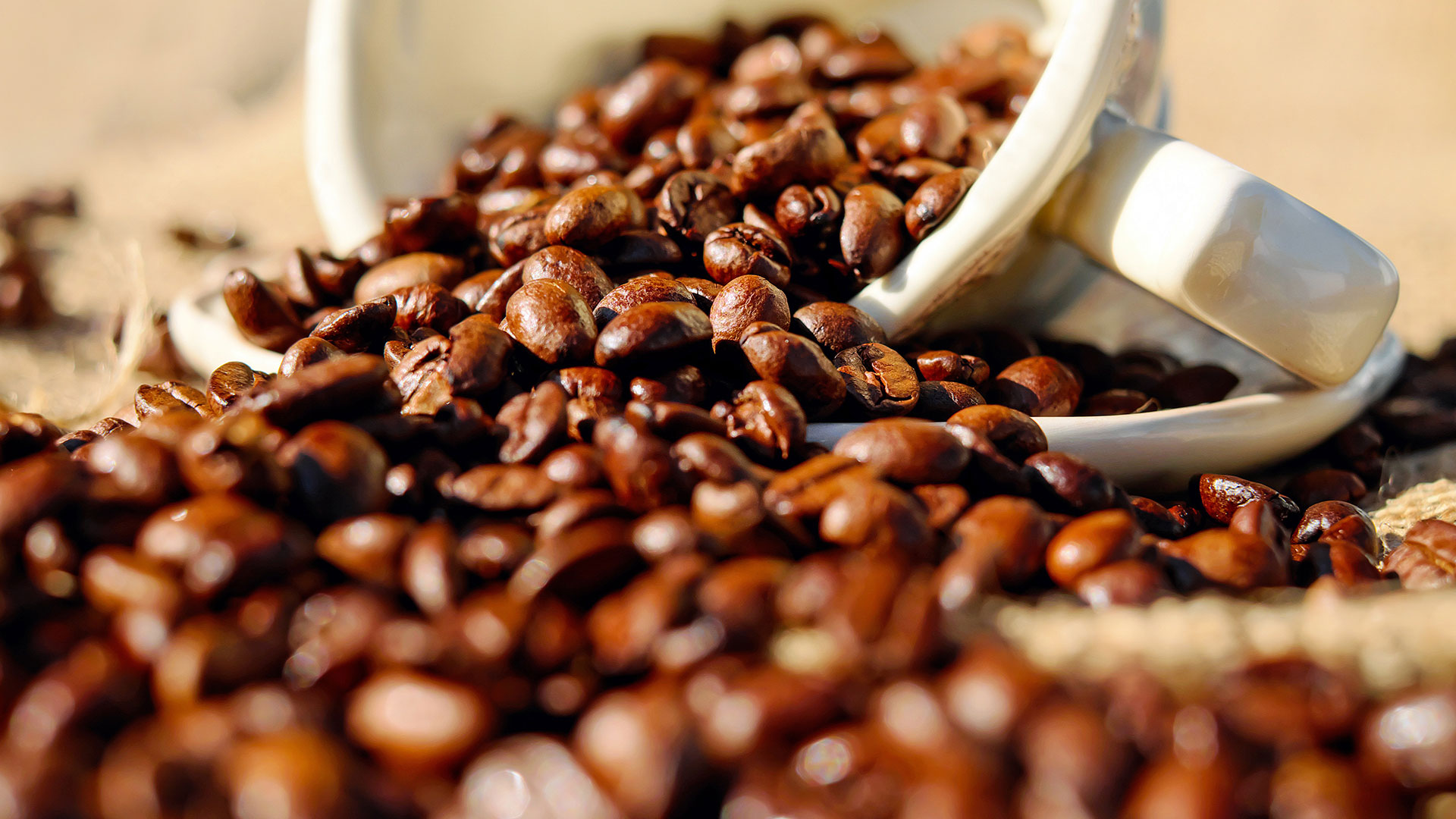 coffee